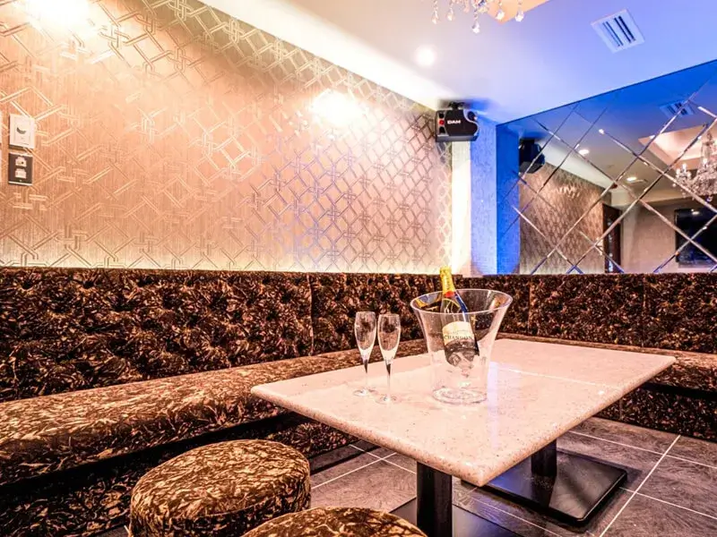PALACE LOUNGE - 渋谷 高級カラオケ＆BAR パレスラウンジ - カラオケ付きのラグジュアリーな高級個室ルーム